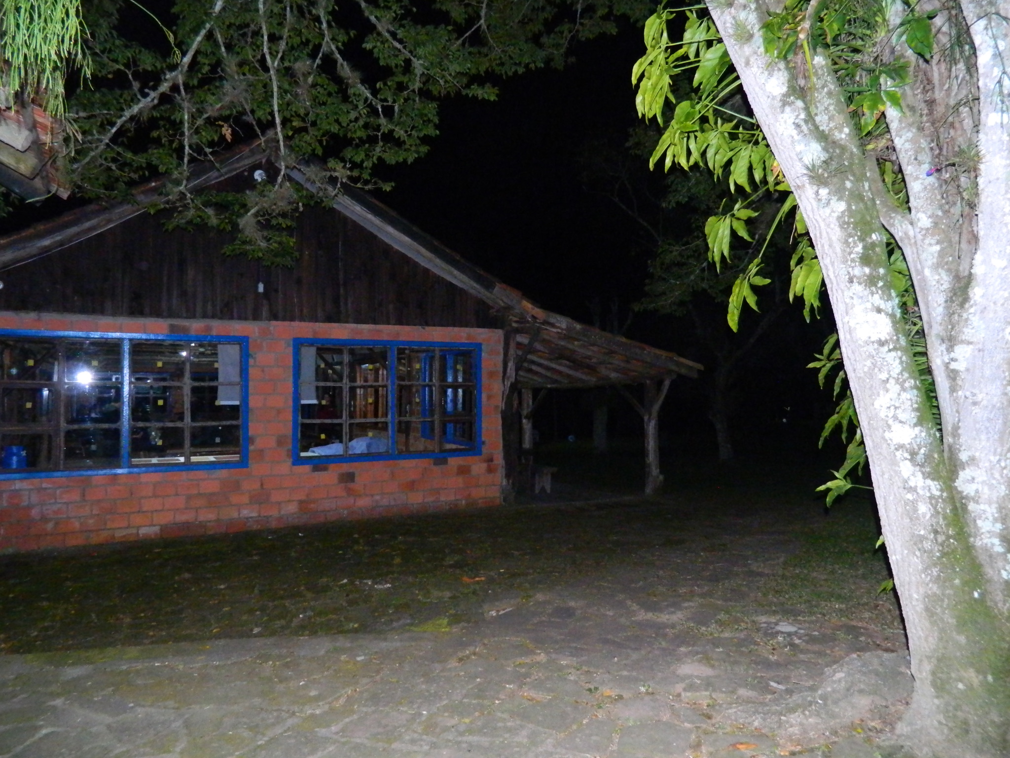 22A26800-E372-48A5-A134-FB019DDE49BC.JPG
